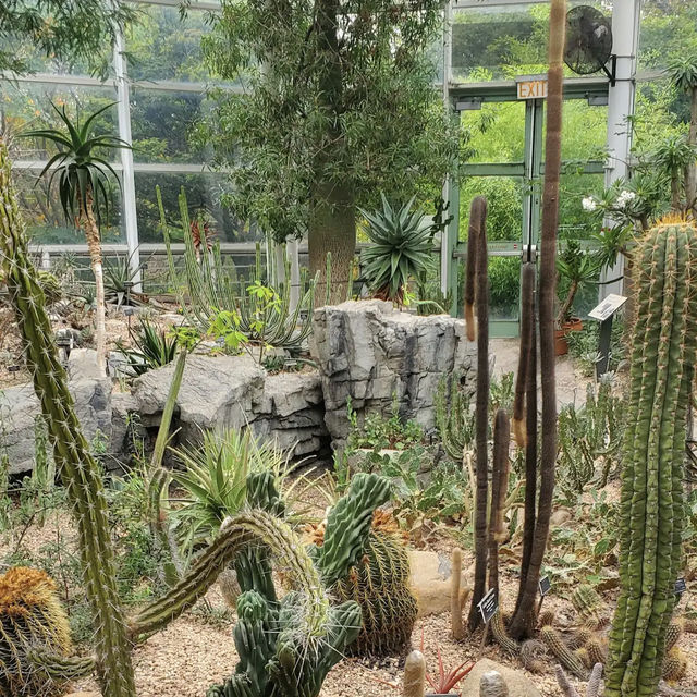 Brooklyn Botanic Garden