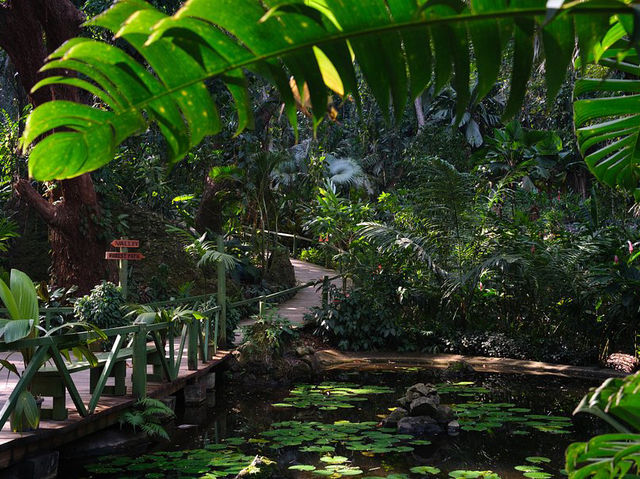 Garden of the Sleeping Giant