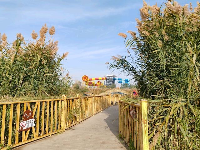 Fantasy Journey to the Dragon Palace of the West Sea