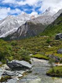 Epic Nature Escape: Daocheng, Yajiang & Litang Road Trip 🌄