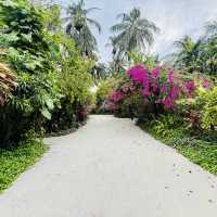 Endless Romance at Kuramathi Maldives