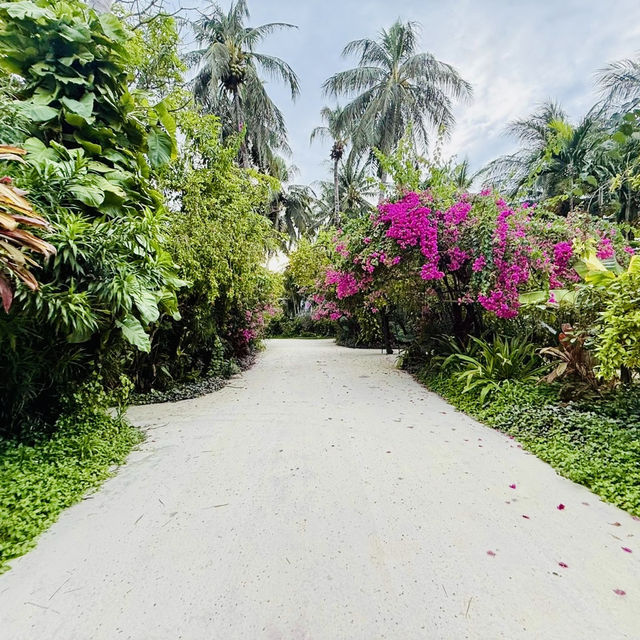 Endless Romance at Kuramathi Maldives