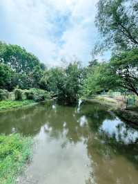 Paya Indah Wetlands: A Scenic Escape of Nature, Wildlife, and Fun