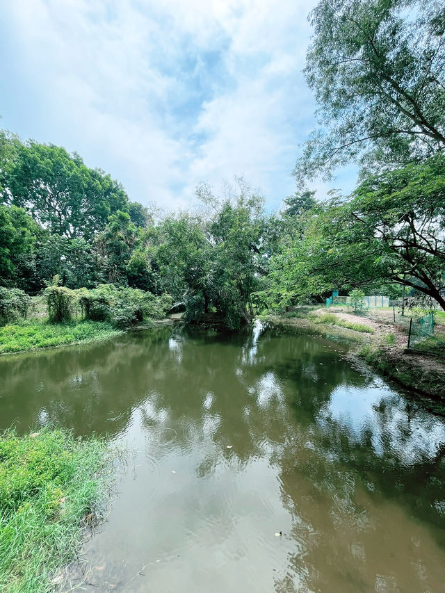 Paya Indah Wetlands: A Scenic Escape of Nature, Wildlife, and Fun Paya Indah Wetlands: A Scenic Escape of Nature, Wildlife, and Fun