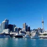 【ニュージーランド】北島3泊5日モデルプラン🇳🇿