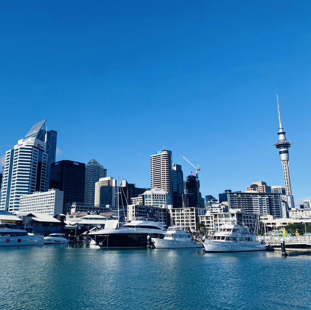 【ニュージーランド】北島3泊5日モデルプラン🇳🇿