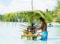 Lagoon Service Bora Bora - The Beat Experience Ever