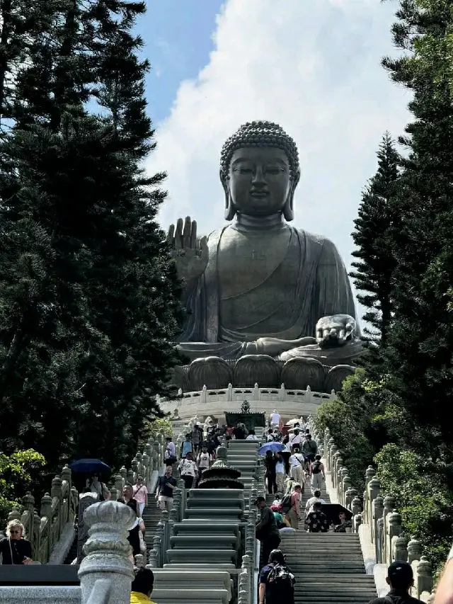在天壇大佛的平靜邂逅