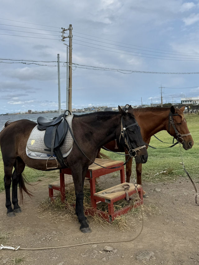 济州岛自然美景与烟火美食交织的舒心体验 💗 济州岛自然美景与烟火美食交织的舒心体验 💗