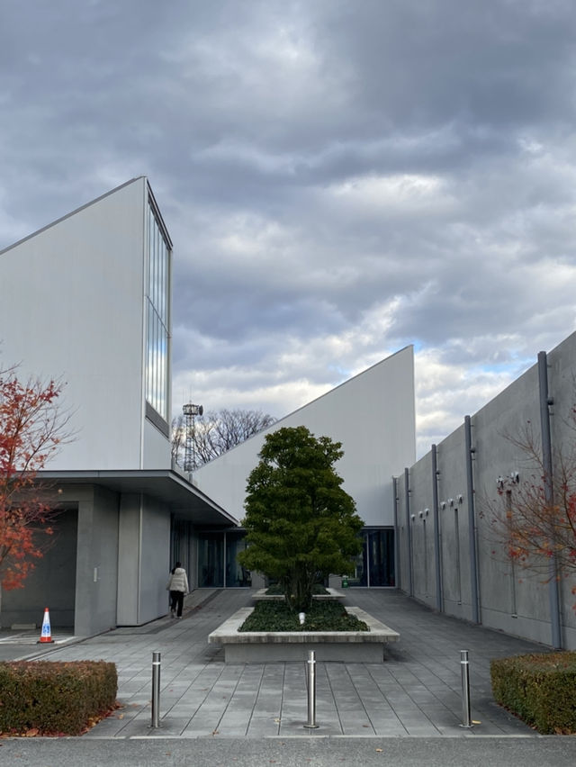 十和田：千萬不可錯過安藤忠雄」設計的市民圖書館