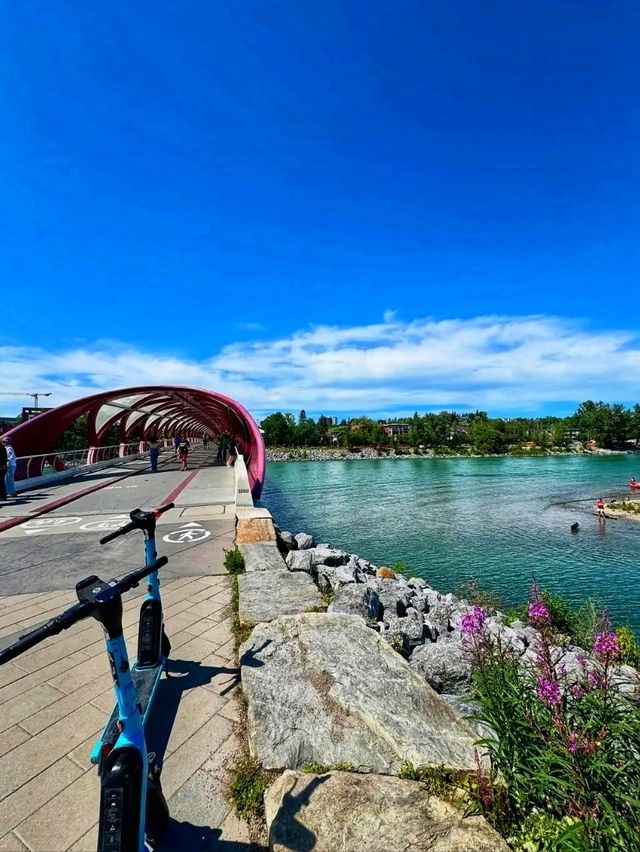 🌿 Prince’s Island Park – Calgary’s Most Beautiful Urban Oasis