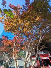 Ge Xian Village: Where Architecture Blends into Nature's Canvas