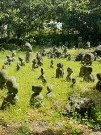 韓國🇰🇷翰林公園