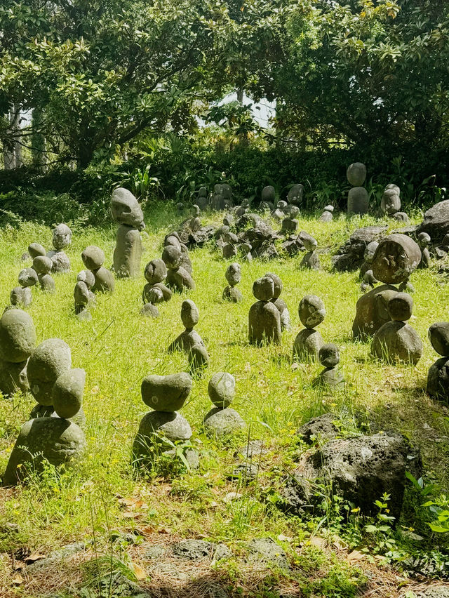 韓國🇰🇷翰林公園