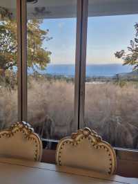 ๐ซง ์ฐ๋ฐฉ์ฐ์ ๋ง์ฃผํ ์ ์ฃผ ๋ง๋
ธ๋ฅด๋ธ๋ ์ ์ ๐