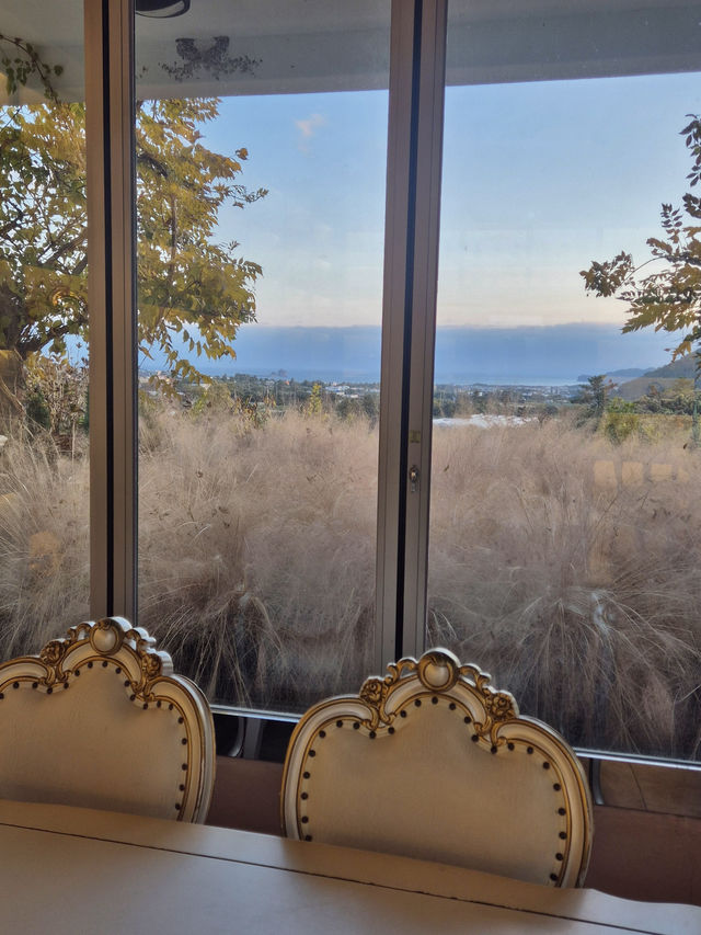 ๐ซง ์ฐ๋ฐฉ์ฐ์ ๋ง์ฃผํ ์ ์ฃผ ๋ง๋
ธ๋ฅด๋ธ๋ ์ ์ ๐ ๐ซง ์ฐ๋ฐฉ์ฐ์ ๋ง์ฃผํ ์ ์ฃผ ๋ง๋
ธ๋ฅด๋ธ๋ ์ ์ ๐