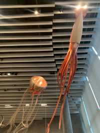 Shanghai Natural Museum 🐒🫎🦕🦖🦑🐋