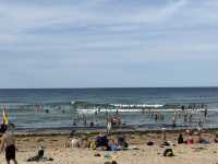 맨리 비치의 청량한 파도와 자유로운 분위기 여행지 🇦🇺