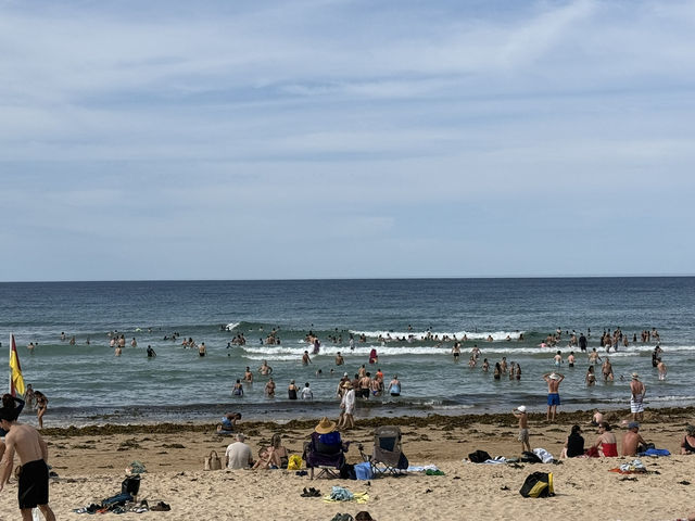 맨리 비치의 청량한 파도와 자유로운 분위기 여행지 🇦🇺