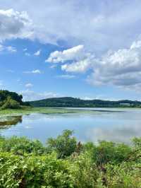 ๋ทฐ ๋ง์ง ํ
๋ผ์ค ์นดํ - ์คํ๋ฒ
์ค ํ์ฑ ๋ณดํต์ ์์ง์ 