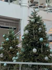 🌲 숲 감성 가득한 대형 카페, 포레스트아웃팅스 용인점 ☕