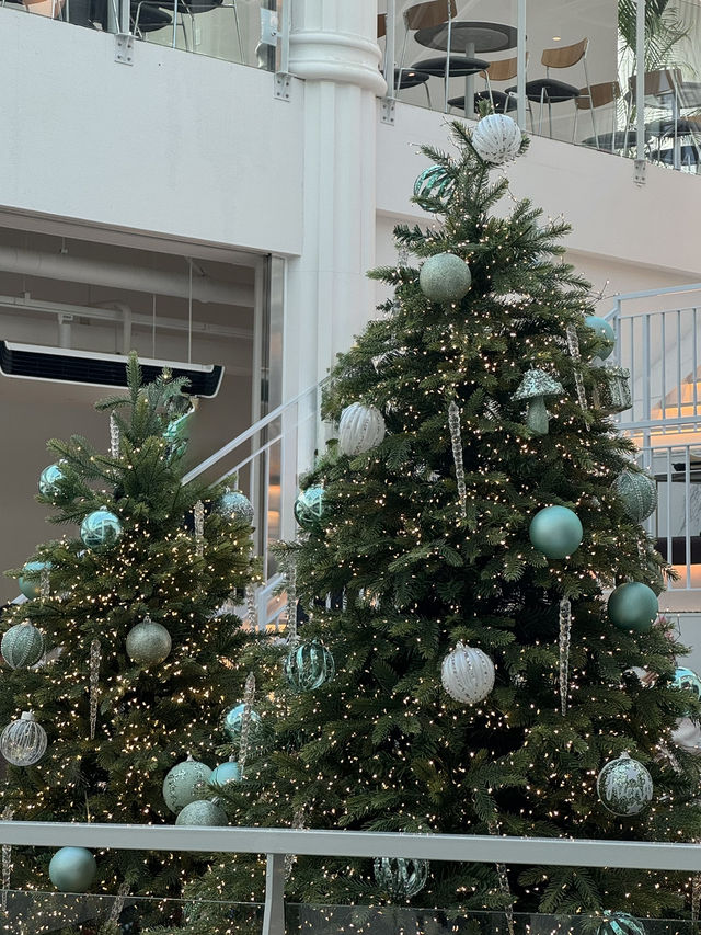 🌲 숲 감성 가득한 대형 카페, 포레스트아웃팅스 용인점 ☕