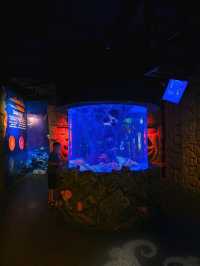 SEA LIFE  ย้อนวัยเด็กที่อควาเรียมกลางกรุง 🐠🪼🪸