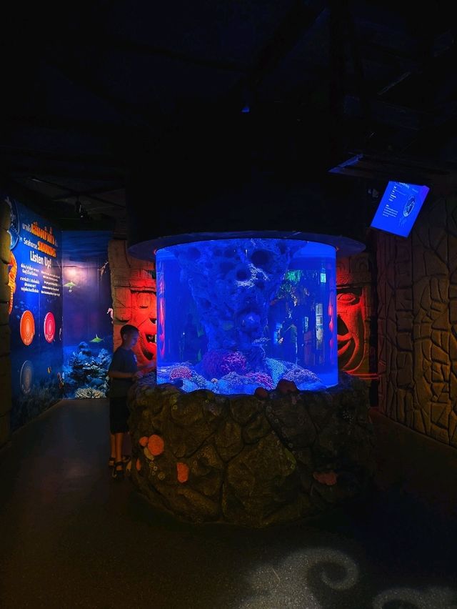 SEA LIFE  ย้อนวัยเด็กที่อควาเรียมกลางกรุง 🐠🪼🪸