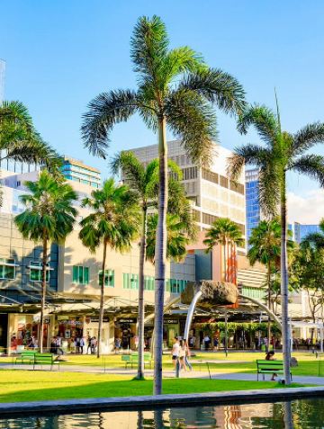 The Truman Show: BGC Manila Edition 🐶🌴☕️✨