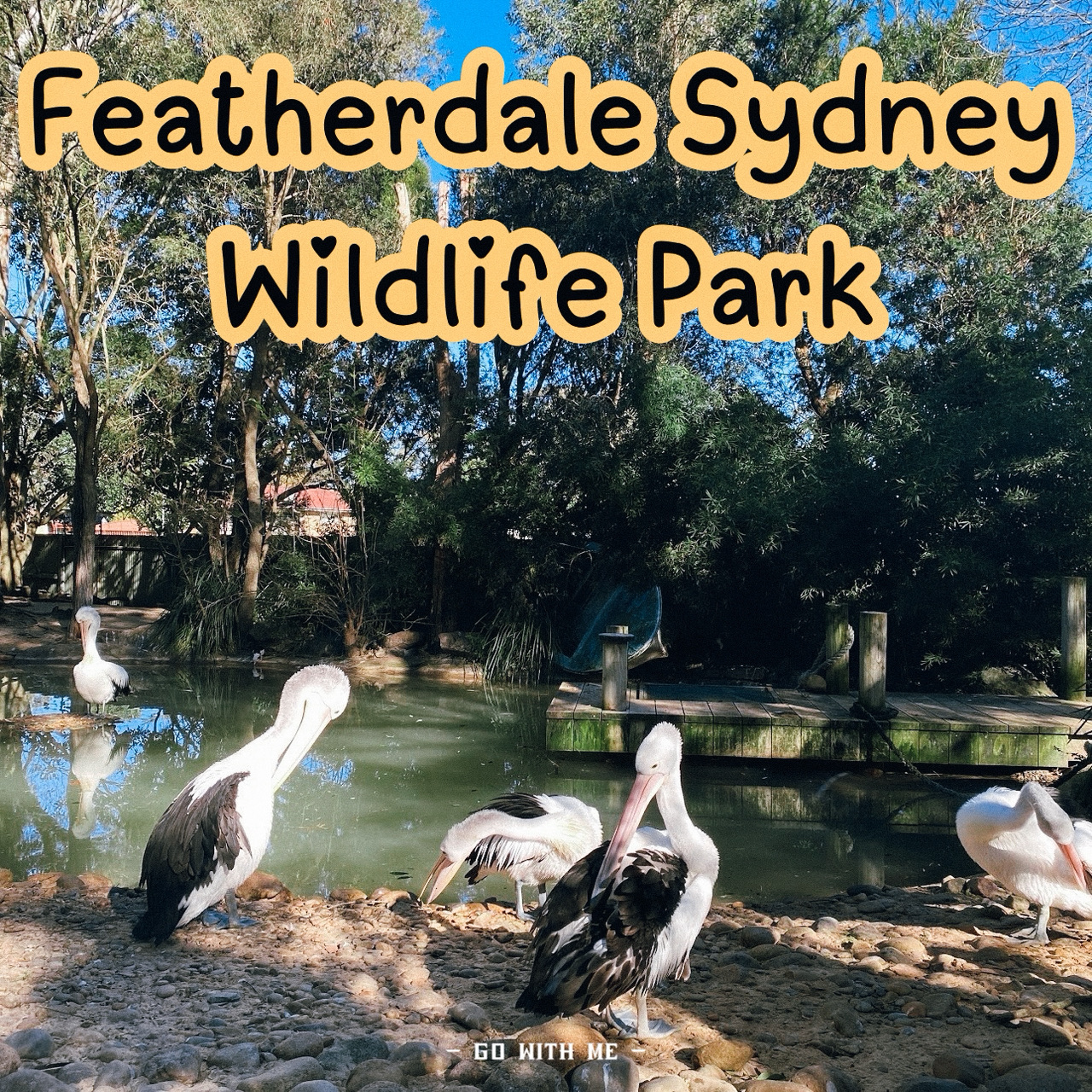Featherdale Sydney Wildlife Park สวนสัตว์สุดปัง