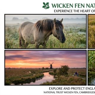 National Trust - Wicken Fen Nature Reserve