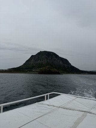 제주 해산물 잔치🦞 3박 2일 제주도 여행 일정
