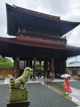 Standing strong for 2,500 years! The wet and romantic journey of visiting Aso Shrine in the wind and rain.