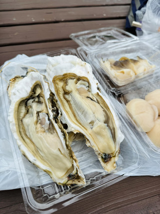 삿포로 니조시장: 홋카이도 해산물 천국, 필수 코스 카이센동.