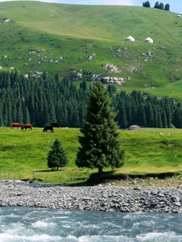 First-Timer Mistakes in Altay: The Things I Wish I Had Known Before Going