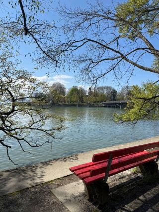 Check in at Lindau (Bodensee), cross the historic bridge, and then relax on a red bench by the lake – a haven for three countries! 🌊✨

If you're visiting the old town of Lindau, start at Europaplatz and walk across the Landtorbrücke bridge. This bridge is 160 meters long and has a history dating back to the 14th century. The atmosphere along the bridge is beautiful and peaceful. 🏰
Once you've crossed, we recommend walking along the riverside promenade under the shade of large trees and then resting your eyes on one of the signature cute red benches by the water! Enjoy the cool breeze. Looking out, you can see the crystal-clear waters of Lake Constance (Bodensee), a large lake spanning three countries (Germany, Switzerland, and Austria). On clear days, you can even see the distant Alpine mountains. The atmosphere is incredibly relaxing and healing. A must-see for nature lovers and photography enthusiasts! 📸💖🇩🇪

#Lindau #Bodensee #LakeConstance #Europaplatz #Landtorbruecke #Luitpoldpark #Germany #TravelGermany #TravelEurope #LindauIsland #LakeConstance