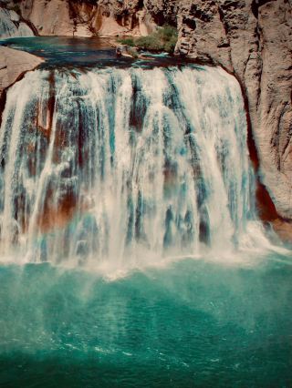 Uganda Elgon Wanale Ridge Mossy Sipi Coffee Foresteasytravelpost