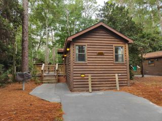 [WDW Hotels] A Forest Hideaway! Experience the Ultimate American Resort Life in a Cabin.