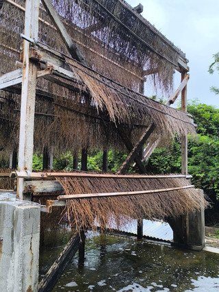 [Okinawa Salt] Discover Authentic Salt on Hamahiga Island! A Hidden Gem Where the Beautiful Sea Meets Artisan Craftsmanship.
