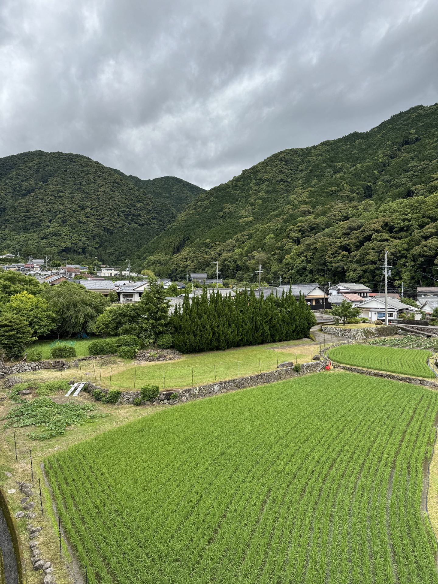 Japan's Kumano Kodo | Nachi-Katsuura | A Self-Drive Journey Deep into the World Heritage Site of Nachi Falls