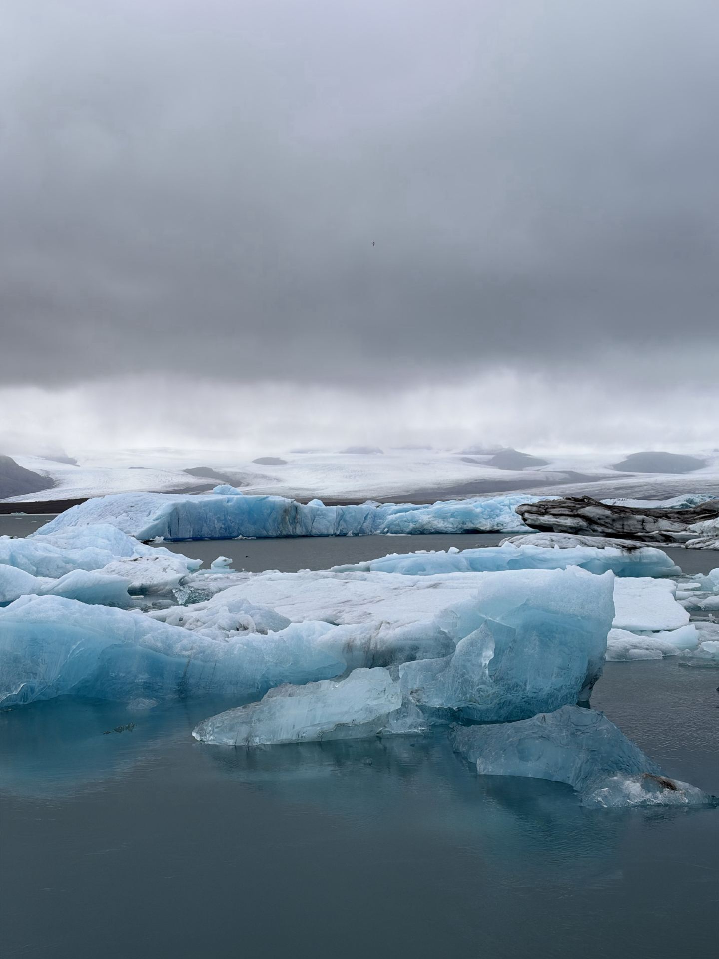 🧊🇮🇸 Jökulsárlón Glacier Lagoon: Iceland's Magical Glacier Lagoon

If you want to see icebergs floating in a crystal-clear blue lagoon, you have to visit at least once! 💙 Located in southeastern Iceland, Jökulsárlón was formed by the melting and retreat of the Breiðamerkurjökull glacier, part of the Vatnajökull glacier.

✨ Highlights you'll fall in love with:
🧊 Icebergs of various sizes float on the water, ranging in color from pure white to deep blue. Some have black markings from volcanic ash.

🦭 You might even see seals resting on the ice or swimming in the lagoon.

📸 Another must-see spot is Diamond Beach, the black sand beach across the road, where you might find clear icebergs washed ashore by the waves, sparkling like diamonds on the sand. 🖤✨

🚗 Getting there: From Reykjavík, it's about a 4.5–5 hour drive along the Ring Road in normal conditions. We recommend allocating approximately 2-3 hours for your visit to the lake and Diamond Beach. Iceberg tours are available seasonally, generally from May to October, depending on weather and ice conditions.

⚠️ Important Note: This area is windy and the weather changes rapidly. Swimming or climbing on the ice is prohibited as you may be unexpectedly flipped over. Parking fees are separate from the boat tour price, and it's advisable to check road conditions before traveling, especially in winter.

💙 Summary: Jökulsárlón is a beautiful and peaceful place that vividly showcases the power of nature. Each iceberg is uniquely shaped, and the scenery changes depending on the light and weather. It's a well-deserved destination for any trip to Iceland 🌍

#Jökulsarlon #Iceland #TravelIceland #DiamondBeach