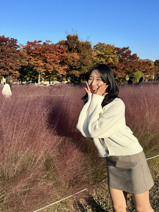차크닉 피크닉 모두 가능한 무료 공원