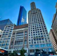 Chicago’s Urban Jungle