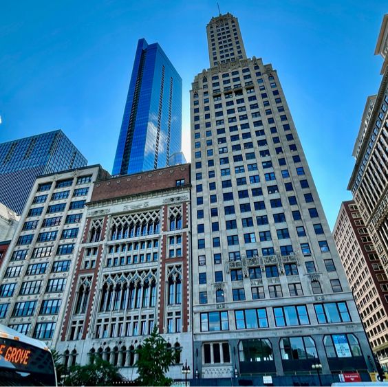 Chicago’s Urban Jungle
