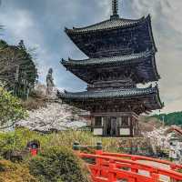 治愈神殿