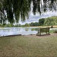 Bushy Park - London