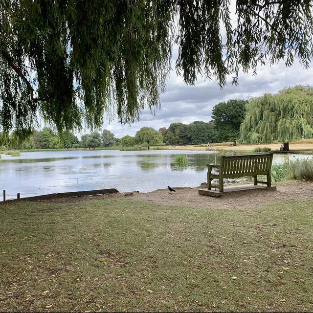 Bushy Park - London