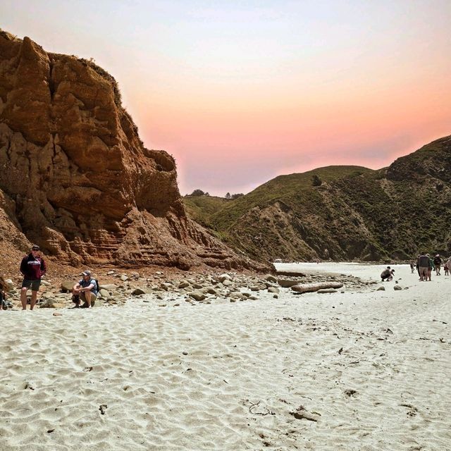 Pfeiffer Big Sur State Park 海灘 - 🏖️  加州的隱藏瑰寶，自駕遊的完美目的地！