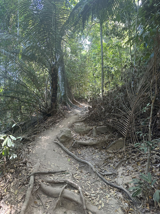 Track Corcovado, Christ Redeemer