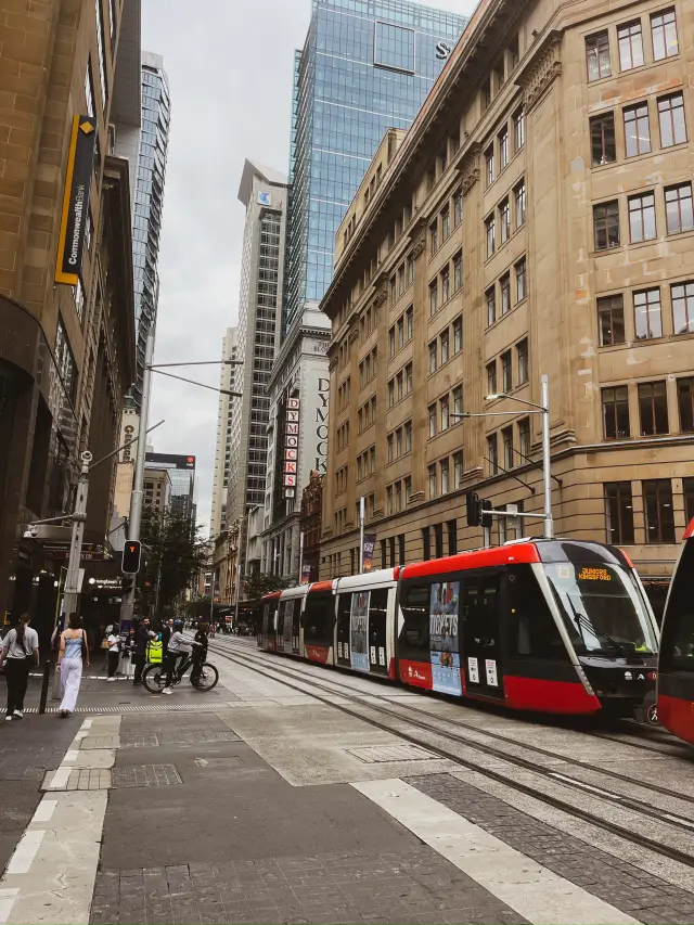 2 days in Sydney 🇦🇺🐨